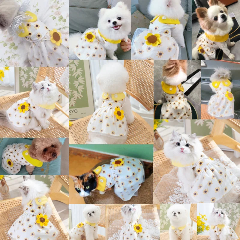 Pet Princess Dress Yellow Sun Flower