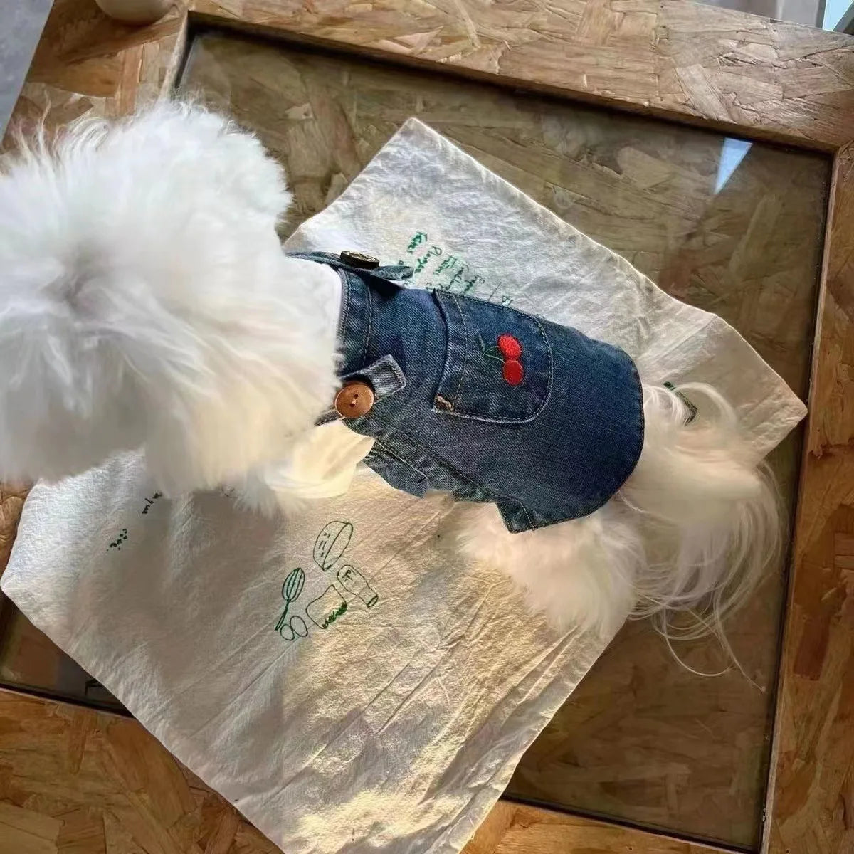 Pet Denim Skirt