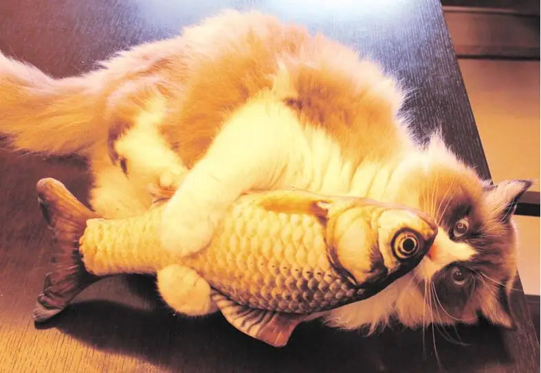 20cm Cat Favor Fish Toy