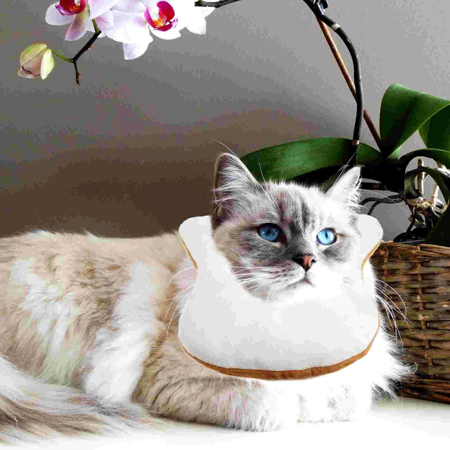 Bread Shape Headgear Soft Pet Cotton Costumes Cat Cosplay Headband Premium Material Pet Products For Home Puppy Dog Clothes