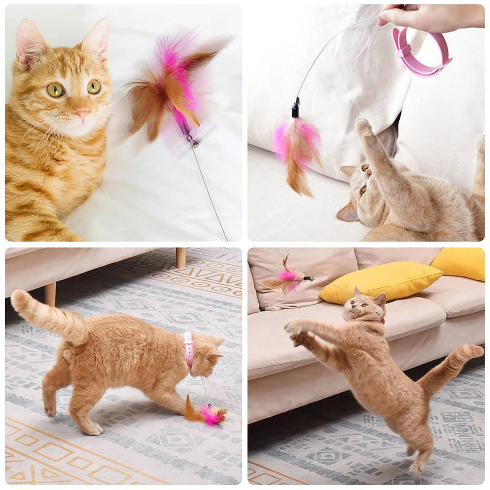 Cat Toy Indoor interactive feathers