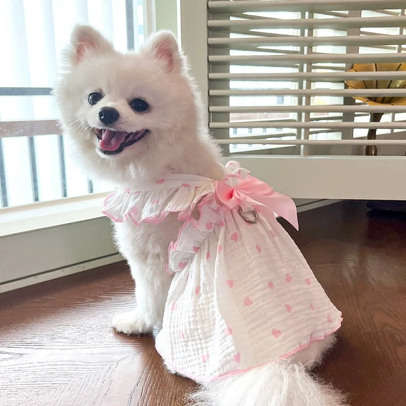 Pet Summer Dress with Bow