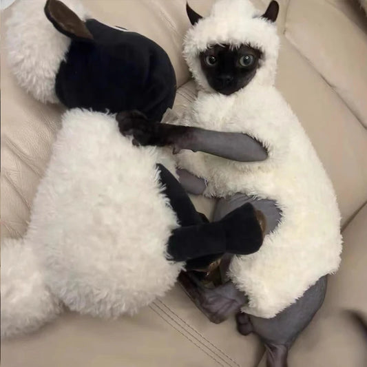 Cat Clothes Little Lamb