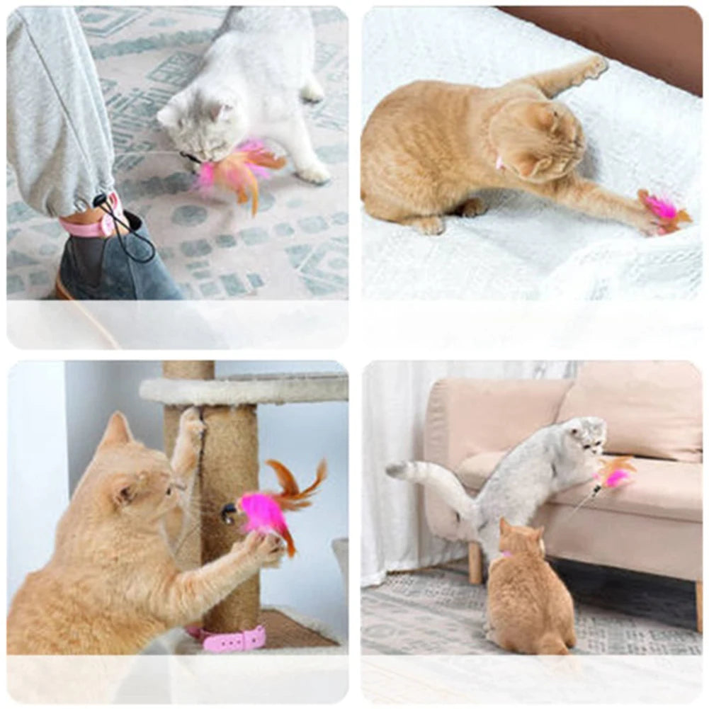 Cat Toy Indoor interactive feathers