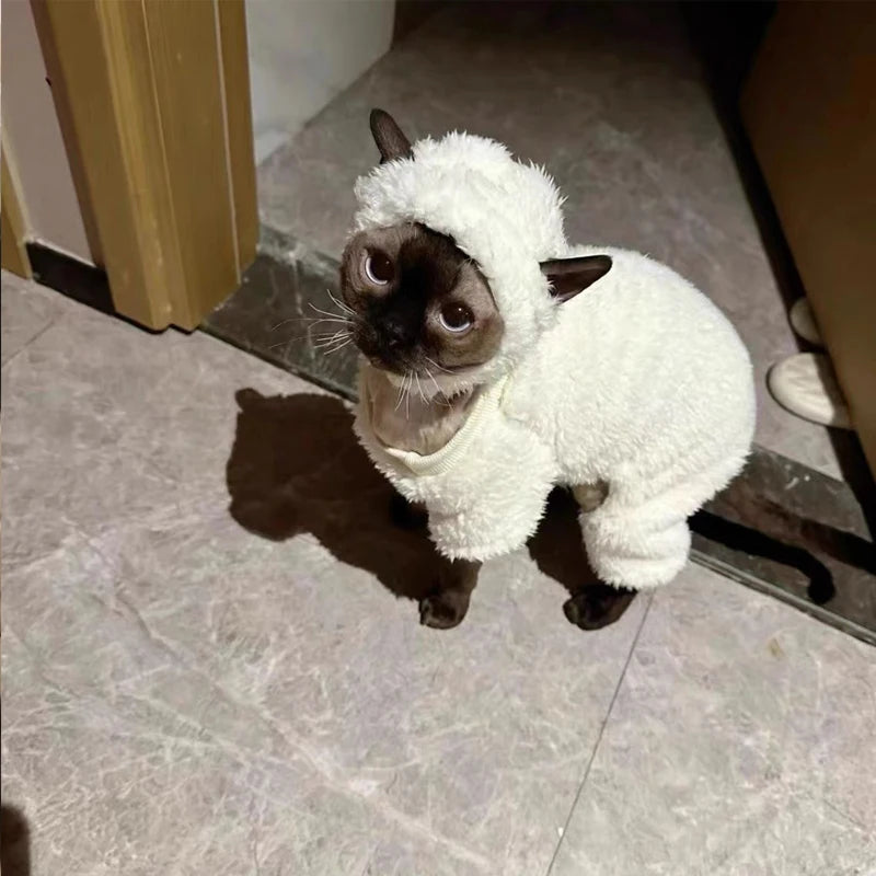 Cat Clothes Little Lamb