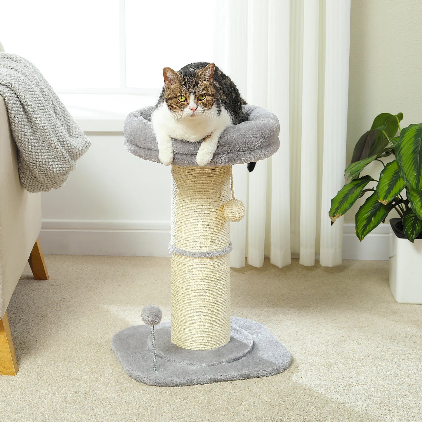 Small Cat Tree Flower Cat Scratching Post for Indoor with Super Thick Natural Sisal Post Pink Stable Removable Perch Mat Balls