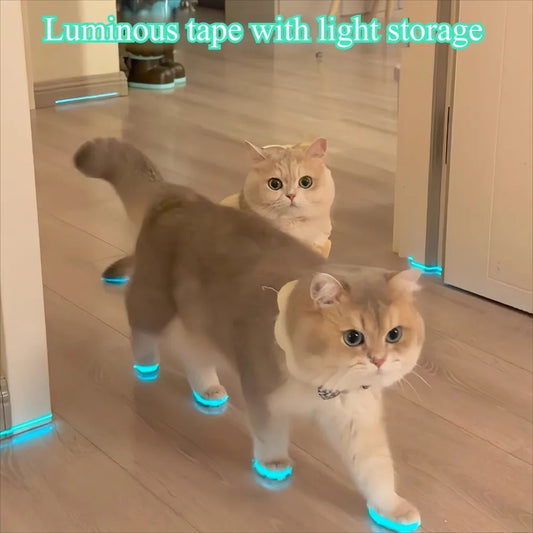 Cat luminous stickers adhesive tape night home indoor outdoor self  luminous fluorescent strips Stair warning tape DIY stage
