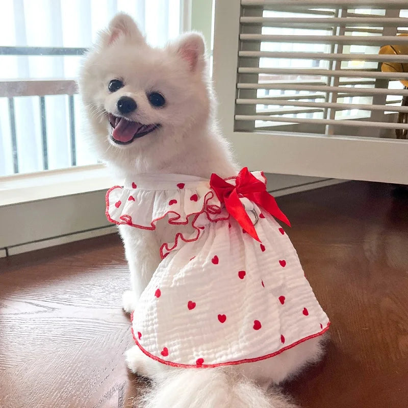 Pet Summer Dress with Bow